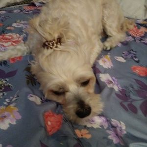 Meet your Posher, Roxanne